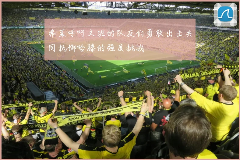 弗莱呼吁文班的队友们勇敢出击共同抵御哈滕的强度挑战