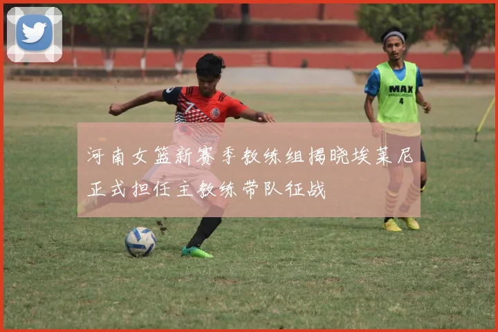 河南女篮新赛季教练组揭晓埃莱尼正式担任主教练带队征战