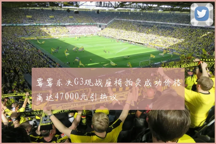 霉霉东决G3观战座椅拍卖成功价格高达47000元引热议