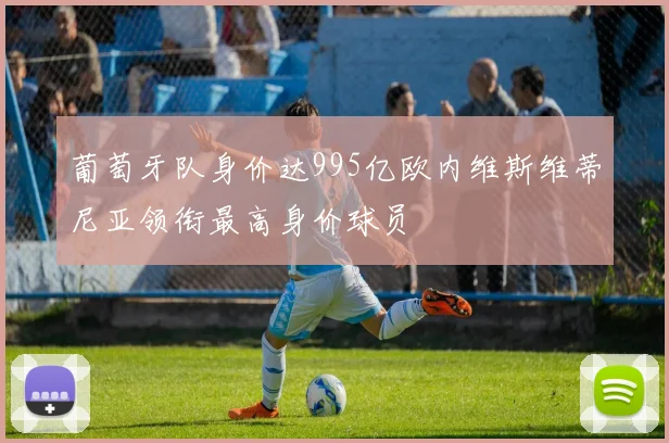 葡萄牙队身价达995亿欧内维斯维蒂尼亚领衔最高身价球员