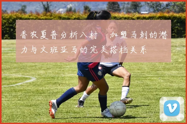 香农夏普分析八村塁加盟马刺的潜力与文班亚马的完美搭档关系