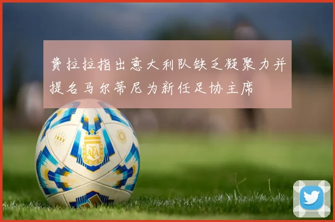 费拉拉指出意大利队缺乏凝聚力并提名马尔蒂尼为新任足协主席